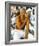 Cuba Gooding Jr.-null-Framed Photo