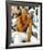 Cuba Gooding Jr.-null-Framed Photo