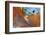 Cuba Grafitti-Art Wolfe-Framed Photographic Print