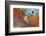 Cuba Grafitti-Art Wolfe-Framed Photographic Print