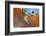 Cuba Grafitti-Art Wolfe-Framed Photographic Print