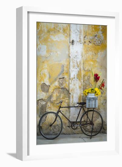 Cuba, Havana. Bicycle with Flowers Leaning Against a Decaying Wall-Brenda Tharp-Framed Photographic Print