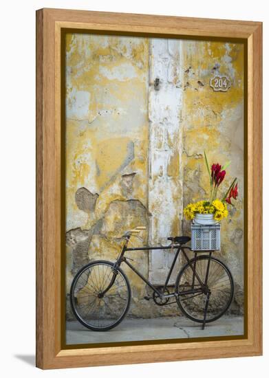 Cuba, Havana. Bicycle with Flowers Leaning Against a Decaying Wall-Brenda Tharp-Framed Premier Image Canvas