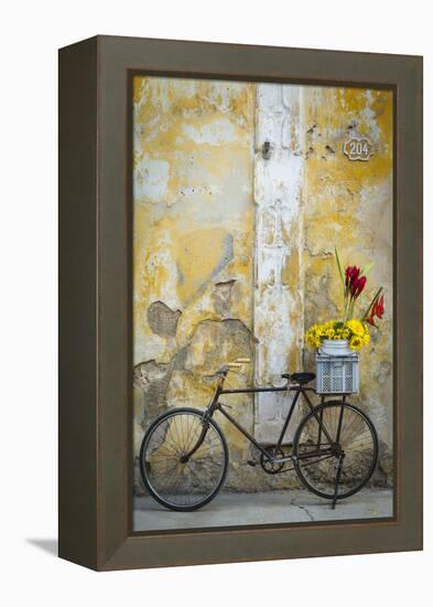 Cuba, Havana. Bicycle with Flowers Leaning Against a Decaying Wall-Brenda Tharp-Framed Premier Image Canvas