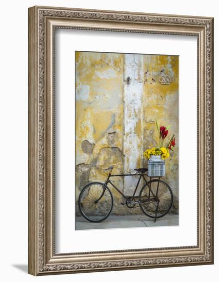 Cuba, Havana. Bicycle with Flowers Leaning Against a Decaying Wall-Brenda Tharp-Framed Photographic Print