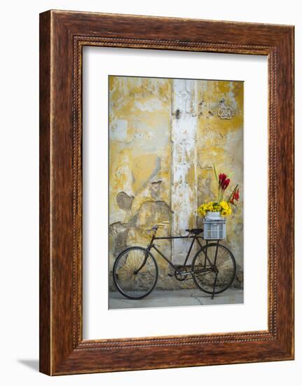 Cuba, Havana. Bicycle with Flowers Leaning Against a Decaying Wall-Brenda Tharp-Framed Photographic Print