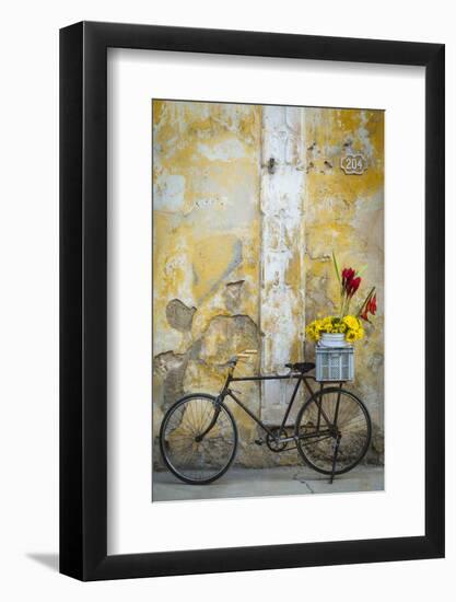 Cuba, Havana. Bicycle with Flowers Leaning Against a Decaying Wall-Brenda Tharp-Framed Photographic Print