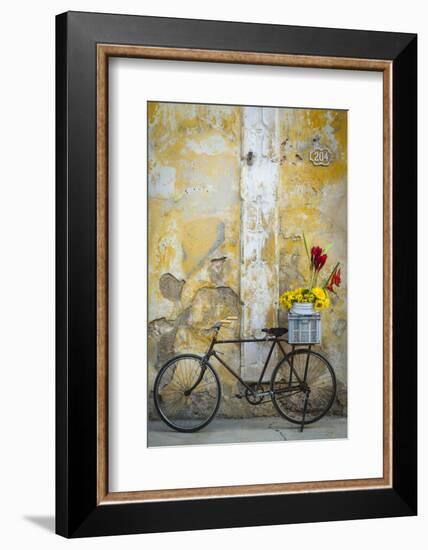 Cuba, Havana. Bicycle with Flowers Leaning Against a Decaying Wall-Brenda Tharp-Framed Photographic Print