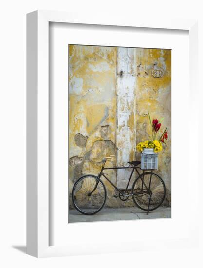 Cuba, Havana. Bicycle with Flowers Leaning Against a Decaying Wall-Brenda Tharp-Framed Photographic Print