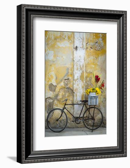 Cuba, Havana. Bicycle with Flowers Leaning Against a Decaying Wall-Brenda Tharp-Framed Photographic Print