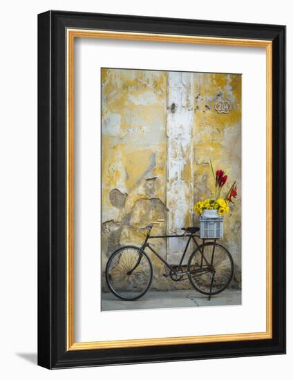 Cuba, Havana. Bicycle with Flowers Leaning Against a Decaying Wall-Brenda Tharp-Framed Photographic Print