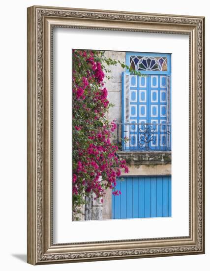 Cuba, Havana. Bougainvillea blooms in Old Town.-Brenda Tharp-Framed Photographic Print