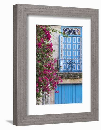 Cuba, Havana. Bougainvillea blooms in Old Town.-Brenda Tharp-Framed Photographic Print