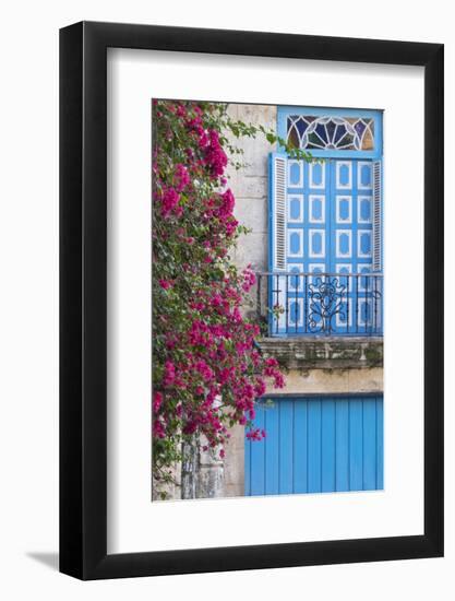 Cuba, Havana. Bougainvillea blooms in Old Town.-Brenda Tharp-Framed Photographic Print