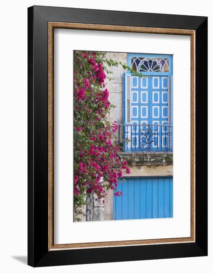 Cuba, Havana. Bougainvillea blooms in Old Town.-Brenda Tharp-Framed Photographic Print