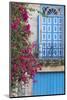 Cuba, Havana. Bougainvillea blooms in Old Town.-Brenda Tharp-Mounted Photographic Print