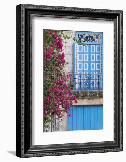 Cuba, Havana. Bougainvillea blooms in Old Town.-Brenda Tharp-Framed Photographic Print