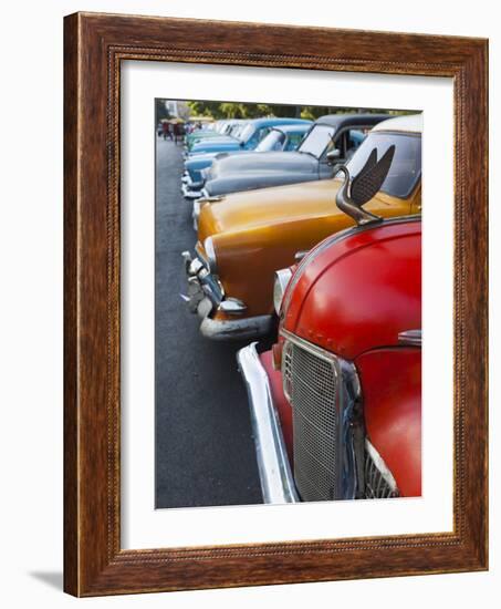 Cuba, Havana, Central Havana, Parque De La Fraternidad, Old 1950s-Era US Cars-Walter Bibikow-Framed Photographic Print