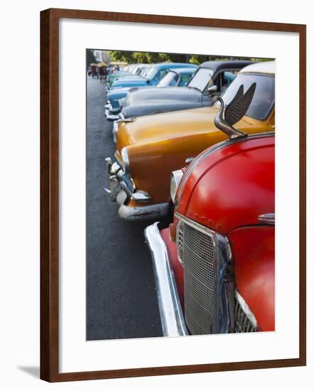 Cuba, Havana, Central Havana, Parque De La Fraternidad, Old 1950s-Era US Cars-Walter Bibikow-Framed Photographic Print