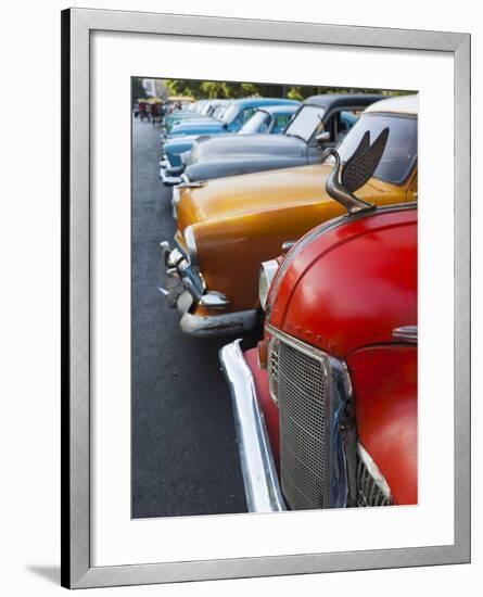 Cuba, Havana, Central Havana, Parque De La Fraternidad, Old 1950s-Era US Cars-Walter Bibikow-Framed Photographic Print