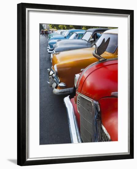 Cuba, Havana, Central Havana, Parque De La Fraternidad, Old 1950s-Era US Cars-Walter Bibikow-Framed Photographic Print