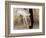 Cuba, Havana. Close-up of two ballet dancers from waist down.-Jaynes Gallery-Framed Photographic Print