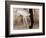 Cuba, Havana. Close-up of two ballet dancers from waist down.-Jaynes Gallery-Framed Photographic Print