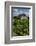 Cuba. Pinar Del Rio. Vinales. Barn Surrounded by Tobacco Fields-Inger Hogstrom-Framed Photographic Print