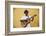 Cuba, Santiago De Cuba Province, Santiago De Cuba, Historical Center, Musician-Jane Sweeney-Framed Photographic Print