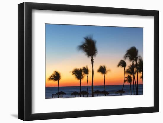 Cuba, Varadero, Palm Trees on Varadero Beach at Sunset-Jane Sweeney-Framed Photographic Print