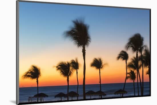 Cuba, Varadero, Palm Trees on Varadero Beach at Sunset-Jane Sweeney-Mounted Photographic Print