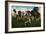 Cuba: Vega de tabaco. Tobacco Plantation, c1900-Unknown-Framed Giclee Print