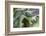 Cuba-Art Wolfe-Framed Photographic Print