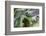 Cuba-Art Wolfe-Framed Photographic Print