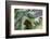 Cuba-Art Wolfe-Framed Photographic Print