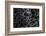 Cuba-Art Wolfe-Framed Photographic Print