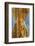 Cuba-Art Wolfe-Framed Photographic Print