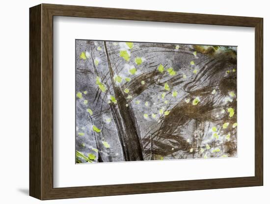 Cuba-Art Wolfe-Framed Photographic Print