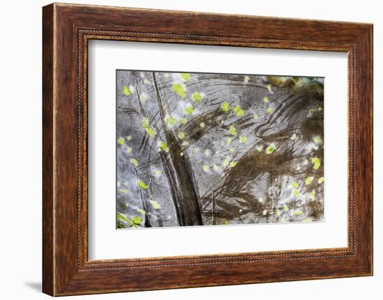 Cuba-Art Wolfe-Framed Photographic Print