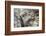 Cuba-Art Wolfe-Framed Photographic Print