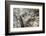 Cuba-Art Wolfe-Framed Photographic Print