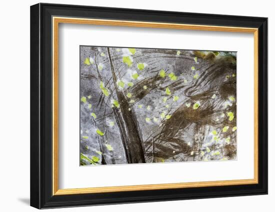 Cuba-Art Wolfe-Framed Photographic Print