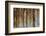 Cuba-Art Wolfe-Framed Photographic Print