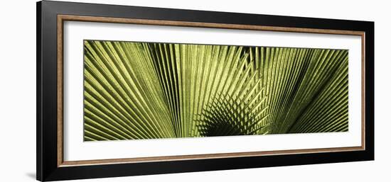 Cuba-Art Wolfe-Framed Photographic Print