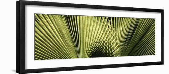 Cuba-Art Wolfe-Framed Photographic Print