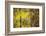 Cuba-Art Wolfe-Framed Photographic Print