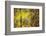 Cuba-Art Wolfe-Framed Photographic Print