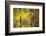 Cuba-Art Wolfe-Framed Photographic Print