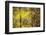 Cuba-Art Wolfe-Framed Photographic Print