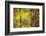 Cuba-Art Wolfe-Framed Photographic Print